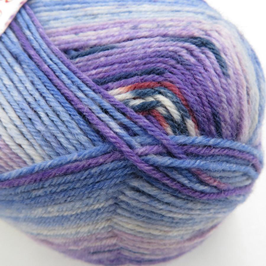毛糸 Opal オパール Sweet & Spicy スィート＆スパイシー(復刻版) 6752番色 1玉 4ply/4本撚り 100g玉巻 約425m 未使用品 |  | 04