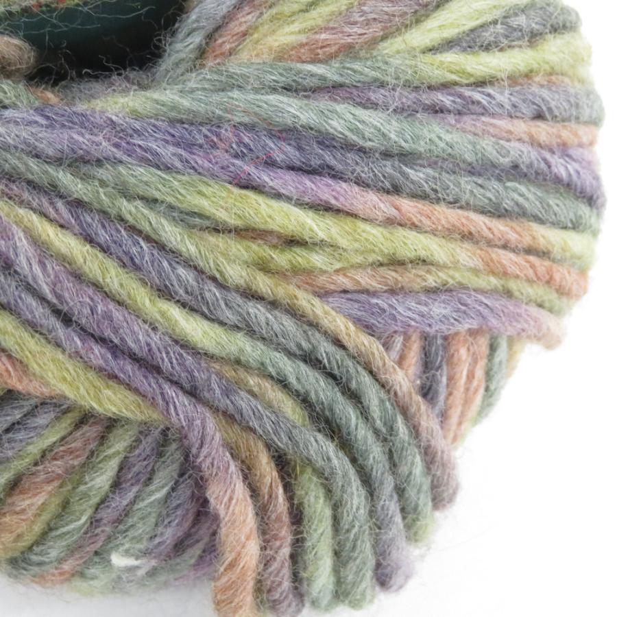 毛糸 Katia カティア MONTANA モンタナ  col.82857 1玉標準約50g 約95m ミックスカラー 海外毛糸 スペイン 未使用品 |  | 02
