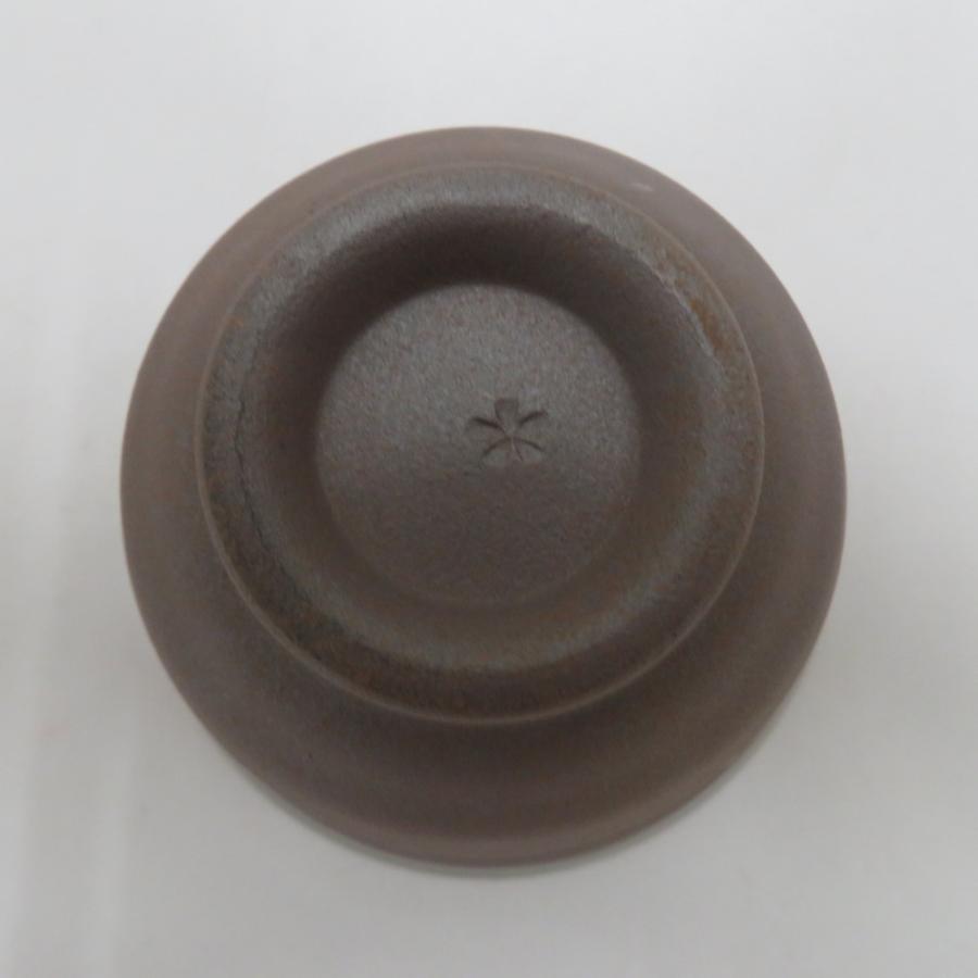 有田焼 食器 肥前有田 温土焼 茶器セット 湯呑 ゆのみ 5点セット 箱有