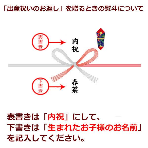 出産内祝 お返し はらぺこあおむし 内祝 お祝い返し 名前入り名入れスイーツギフトb 男の子 洋菓子 ベビー 赤ちゃん 送料無料 新品 名入れ 女の子 お菓子