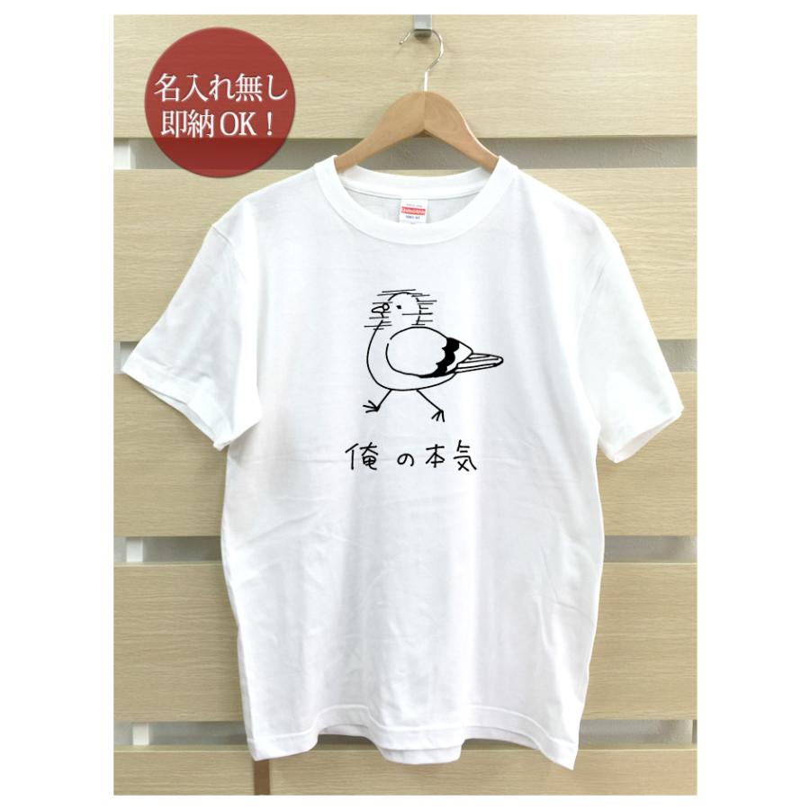 おもしろTシャツ メンズ レディース ウケねらい 俺の本気 鳩 ハト 動物 