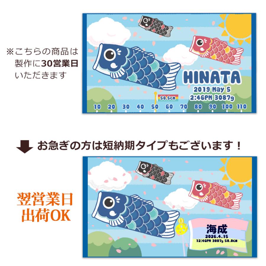 鯉のぼり【お取引先決まりました】 今治タオル（imabari towel） 【約30営業日出荷】 鯉のぼり 初節句