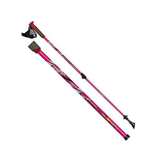 海外輸入 Nite ナイト Naito ナイト工芸 日本製 フルカーボン 2段伸縮ノルディックウォーキングポール インターナショナ 独創的 Www Muslimaidusa Org