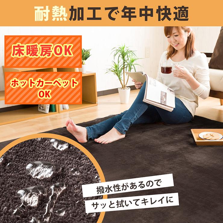 ラグマット ラグ カーペット 高反発 厚さ2cm 防ダニ 抗菌防臭 185
