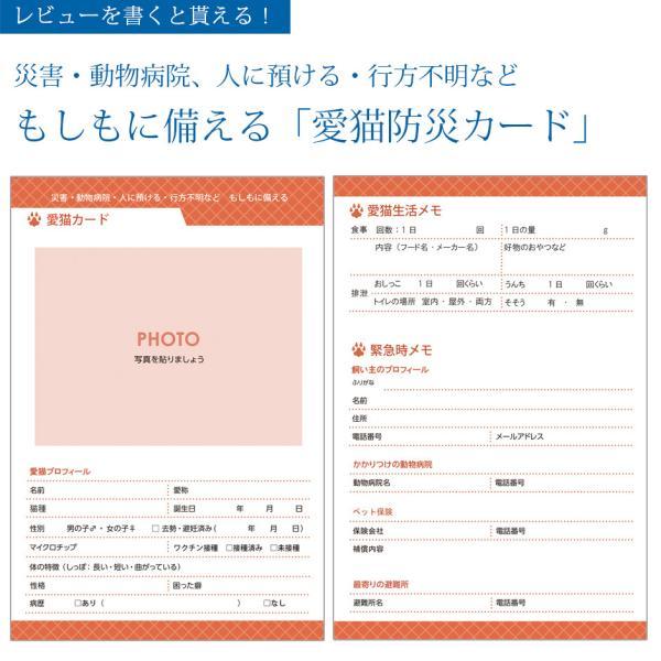 愛猫手帳 ねこ 【 名入れあり 】 愛猫健康手帳【獣医師 監修】A6サイズ カバー付き 52ページ 狂猫病 ワクチン 予防接種 体重管理 |  | 04