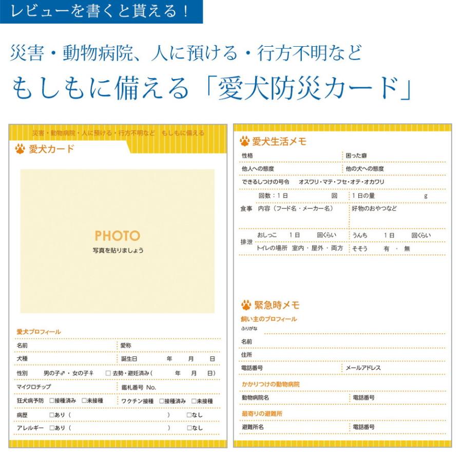 愛犬手帳 【名入れあり】 いぬ 愛犬健康手帳【獣医師 監修】犬 雑貨 グッズ A6サイズ カバー付き 52ページ 病院カルテ 体重管理 犬用母子手帳 |  | 16