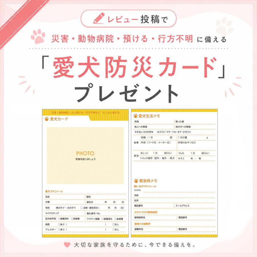 愛犬手帳 【名入れあり】 いぬ 愛犬健康手帳【獣医師 監修】犬 雑貨 グッズ A6サイズ カバー付き 52ページ 病院カルテ 体重管理 犬用母子手帳 |  | 16