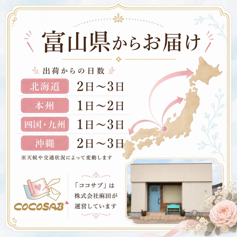 結婚式 招待状 海からの祝福 手作り キット おしゃれ 安い 用紙 10部1