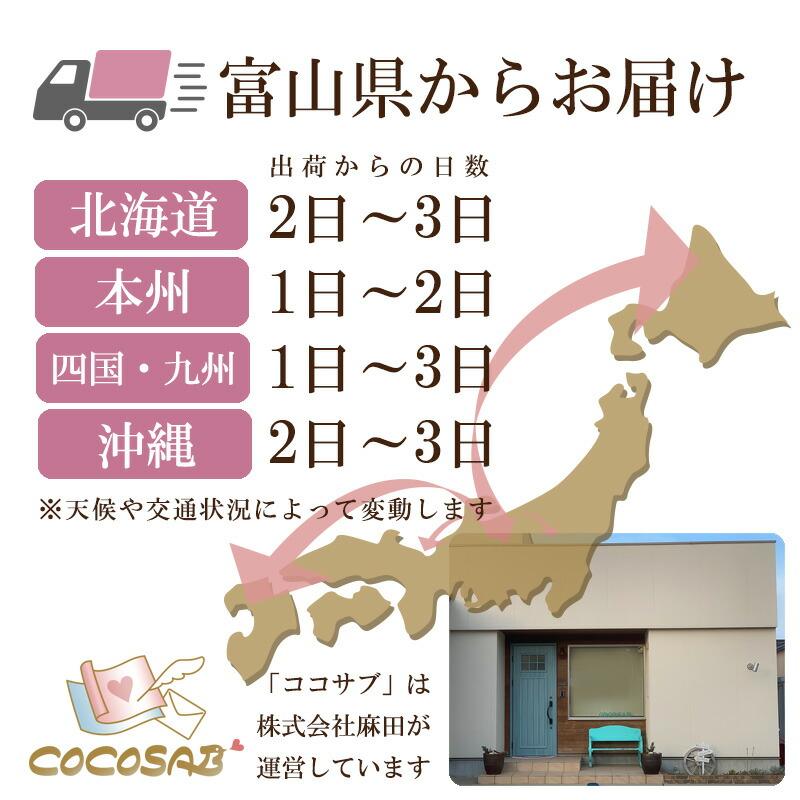 結婚式 席札 ひまわり 夏 台紙 6名分 手作り キット ウェディング  