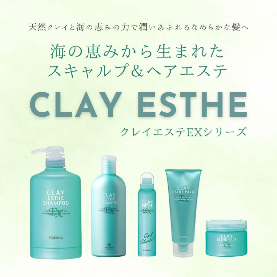 モルトベーネ クレイエステ シャンプー EX 1000ml×4本 詰替 CLAY ESTHE モルトベーネ クレイエステシャンプー EX 1000ml×4本