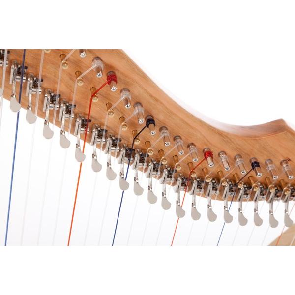 2022 新作 美品⭐︎ハープシクルハープ スペシャルエディション フル