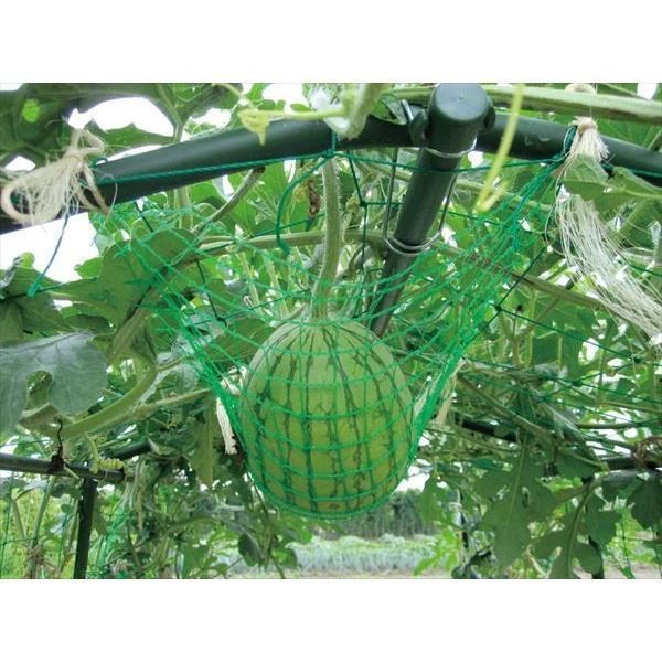 第一ビニール 空中栽培つる棚セット Tds 1 8 H メーカー直送品 つる野菜 空中栽培 小玉スイカ キュウリ 小型カボチャ Tds 1 8 H Icn Dib 4 イチネンネット 通販 Yahoo ショッピング