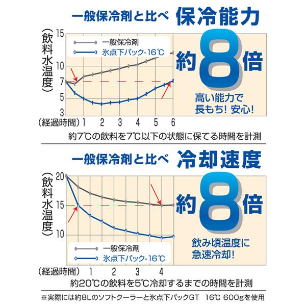 (あすつく) ロゴス(LOGOS):氷点下パックGT-16℃・ソフト900g 81660607 ロゴス　氷点下パックＧＴ-１６℃ソフト｜cocoterrace｜03