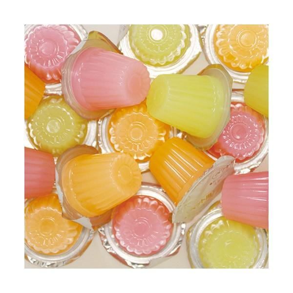 ペティオ ぷるっとサプリinゼリー Mix 20個 犬 おやつ スナック ゼリー フルーツ 小分け ミックス Icn Rps 00011653 イチネンネット 通販 Yahoo ショッピング