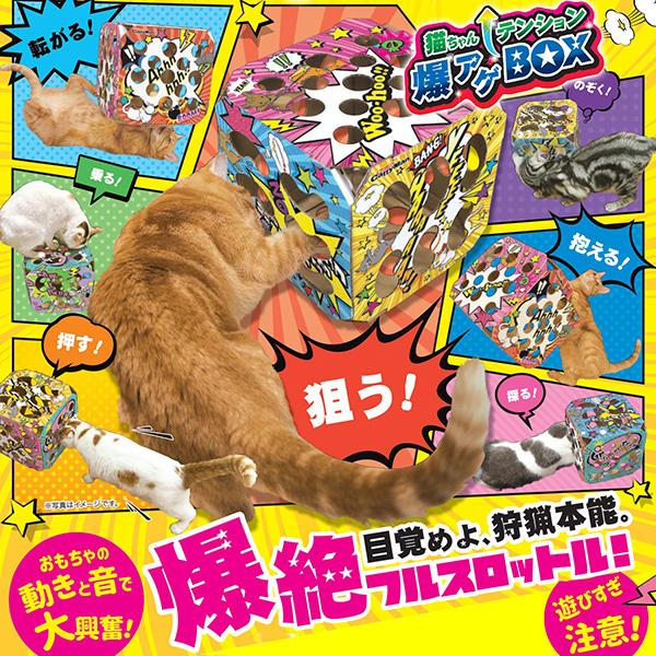 ドギーマンハヤシ:猫ちゃんテンション爆アゲBOX 4976555845280｜cocoterrace｜07