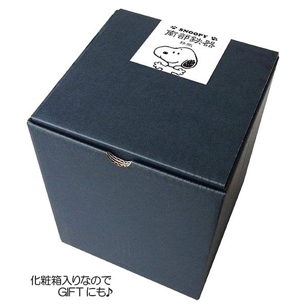 OSK（オーエスケー） :南部鉄瓶 スヌーピー 1L 1000ml 南部鉄器 鉄瓶