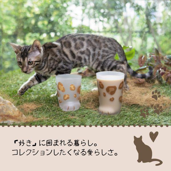 アデリア:猫足グラス coconeco 親猫 ムジ 6045｜cocoterracemore｜07