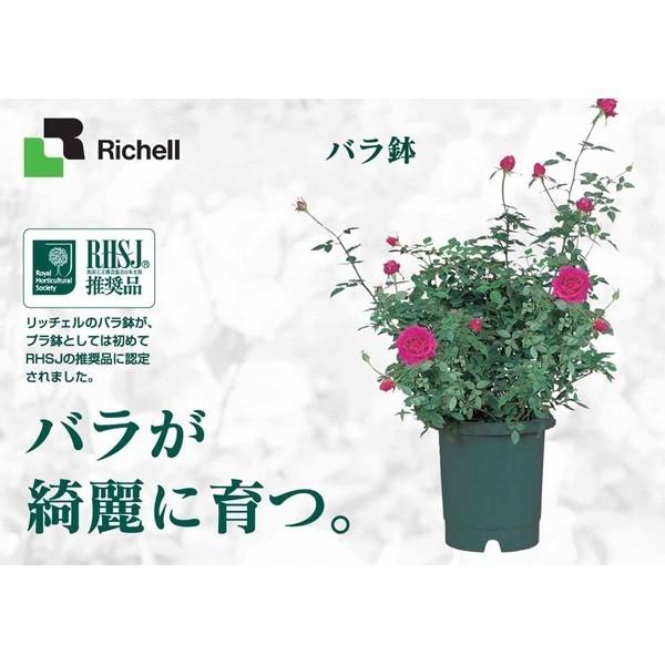 リッチェル Richell バラ鉢 10号 ダークgr イチネンネット Paypayモール店 通販 Paypayモール