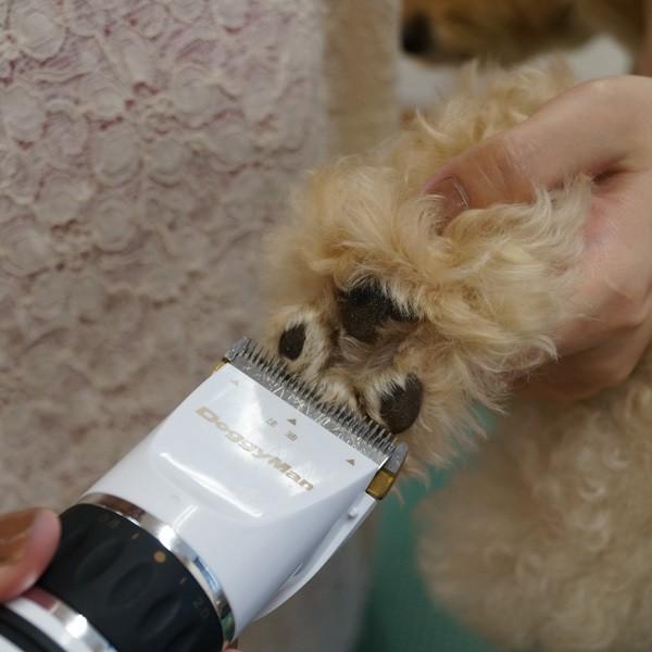 ドギーマンハヤシ:ドギーマン ホームバーバー エキスパートスタイル 4976555951202 犬 猫 バリカン コードレス プロ 充電式 交流式|イチネンネット |03