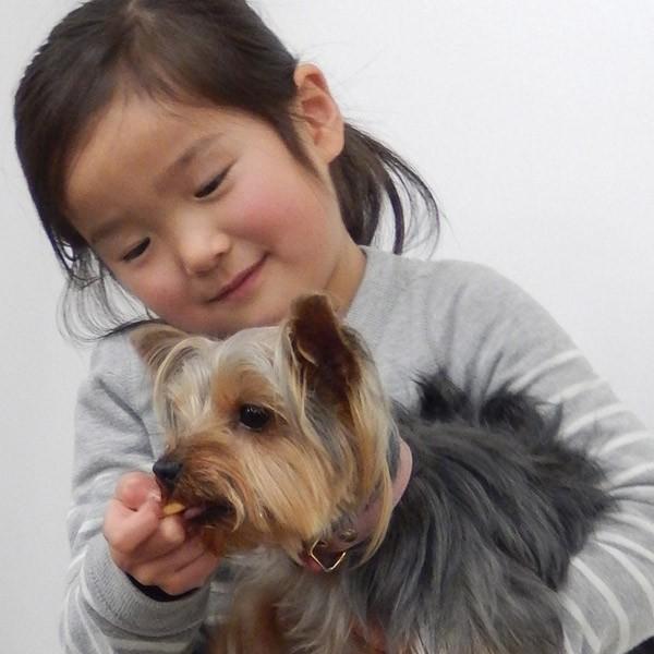 トーラス:わんべい 80g 4512063101045 犬 おやつ 間食 せんべい せんべえ 煎餅 玄米 犬 おやつ 間食 せんべい せんべえ 煎餅｜cocoterracemore｜05