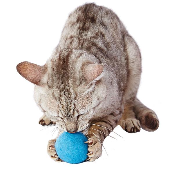 ペティオ:猫用おもちゃ 大好きブルーの大きなウールボール 4903588268168 Petio｜cocoterracemore｜03