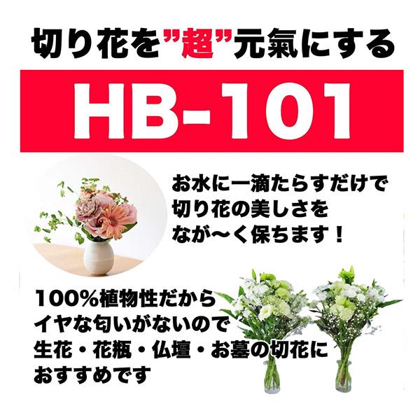 フローラ:HB-101 原液 5L 4522909000111｜cocoterracemore｜02