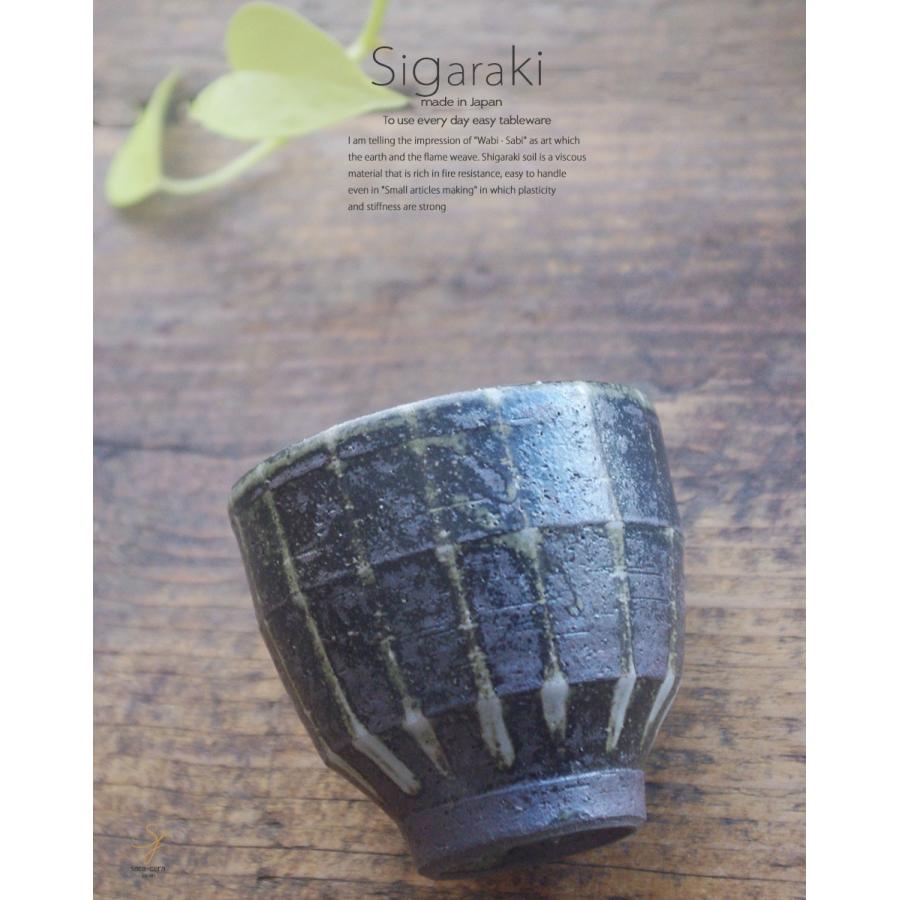 正規品質保証】 和食器 信楽焼 滝縞 湯呑 湯のみ 湯飲み コップ お茶 緑茶 おうち カフェ 食器 陶器 しがらき焼 らいすぼ〜る 春日井 軽井沢 pontegiorgi.it 正規品質保証】 和食器 信楽焼 滝縞 湯呑 湯のみ 湯飲み コップ お茶 緑茶 おうち カフェ 食器 陶器 しがらき焼 らいすぼ〜る 春日井 軽井沢 pontegiorgi.it