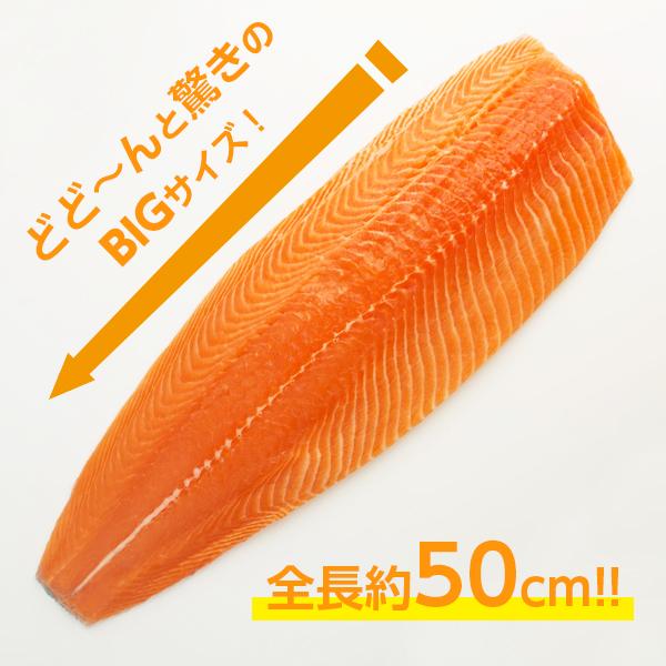 サーモン 1kg 刺身 皮なし 半身フィーレ 1パック ビッグサイズ ギフト