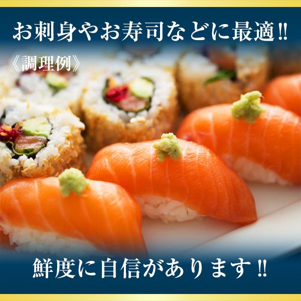 サーモン 刺身用 ロングロイン(2本) セット ビッグサイズ ギフト サーモン 刺身用 ロングロイン(2本) セット ビッグサイズ ギフト