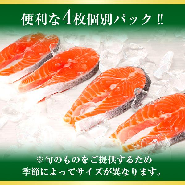 サーモン ステーキ 鮭 輪切り 4パック セット ギフト タスマニア
