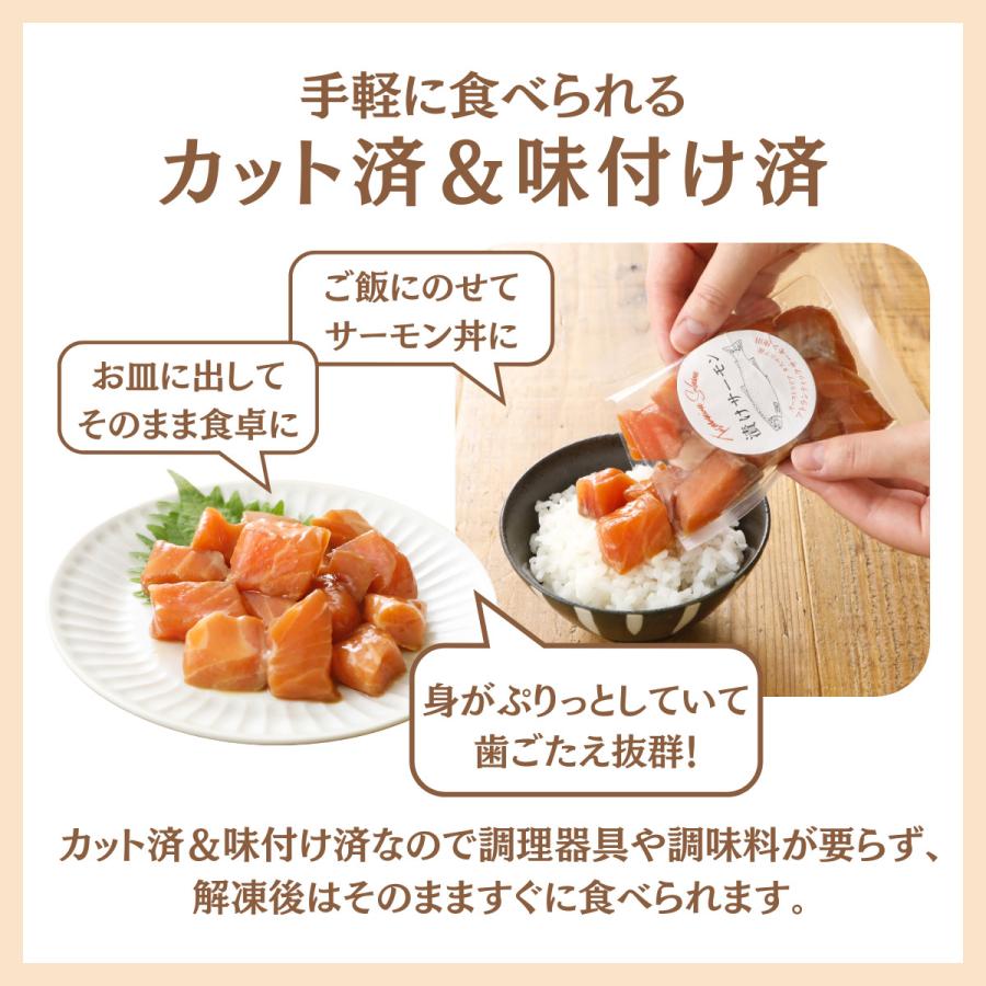高級サーモン 漬け丼 100g×3パック タスマニア産 アトランティック