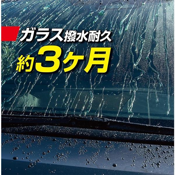 ソフト99 （正規代理店 / 送料無料） レインドロップゴールドグロス