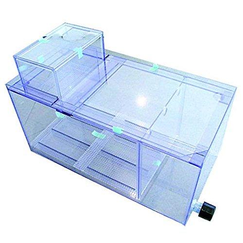 グランドセール 寿工芸 寿工芸 寿工芸 オーバーフロー水槽用ろ過槽 Dxフィルター フィルター ポンプ ろ材 Tomartrust Org