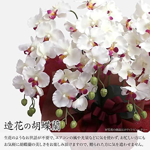 開店祝い アーティフィシャルフラワー 造花 胡蝶蘭 5本立ち ホワイトビューティー Ct触媒加工 Cotyoran Rabe Wb A B071vr9rxm Coco S Shop 通販 Yahoo ショッピング 交換無料 Mobile Scotturb Com