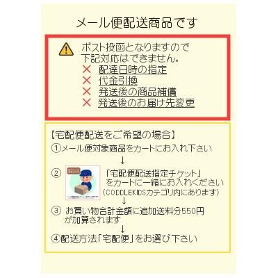 CODDLE KIDS きのこマグネット |  | 04