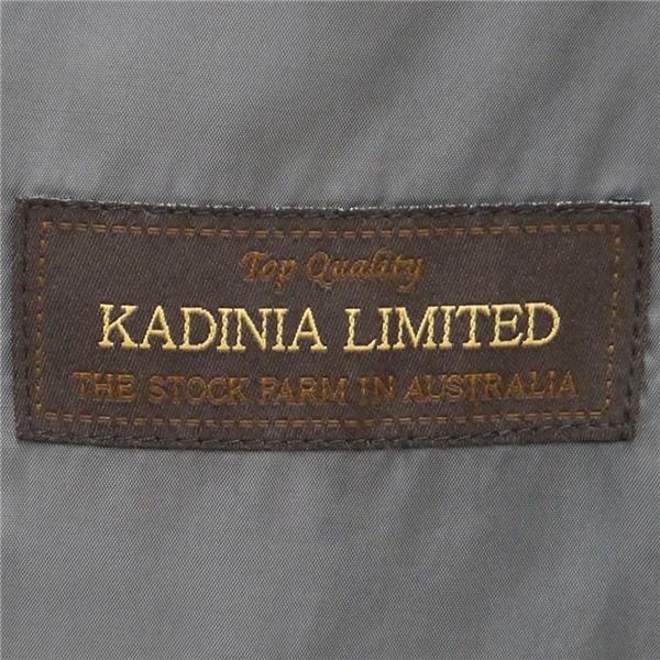 BELLUMORE KADINIA LIMITED 2つボタン シングルスーツ AB6 L ダークグレー ストライプ ツータック 春夏 T0911101-1 5NL008 | BELLUMORE | 05