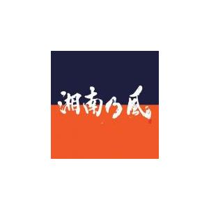 湘南乃風 COME AGAIN 通常盤 2CD レンタル落ち 中古 CD ケース無 | 