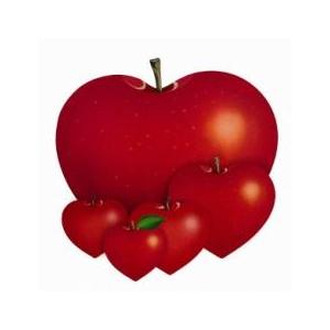 アイのうた 5 レンタル落ち 中古 CD ケース無 | 