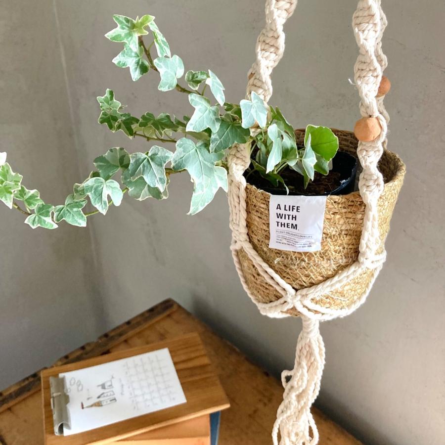 ハンギングプランター マクラメ プランターカバー 室内 プラントハンガー 吊るす 吊り下げ 北欧 Aタイプ ナチュラル雑貨 Coeur A Coeur Marche 通販 Yahoo ショッピング