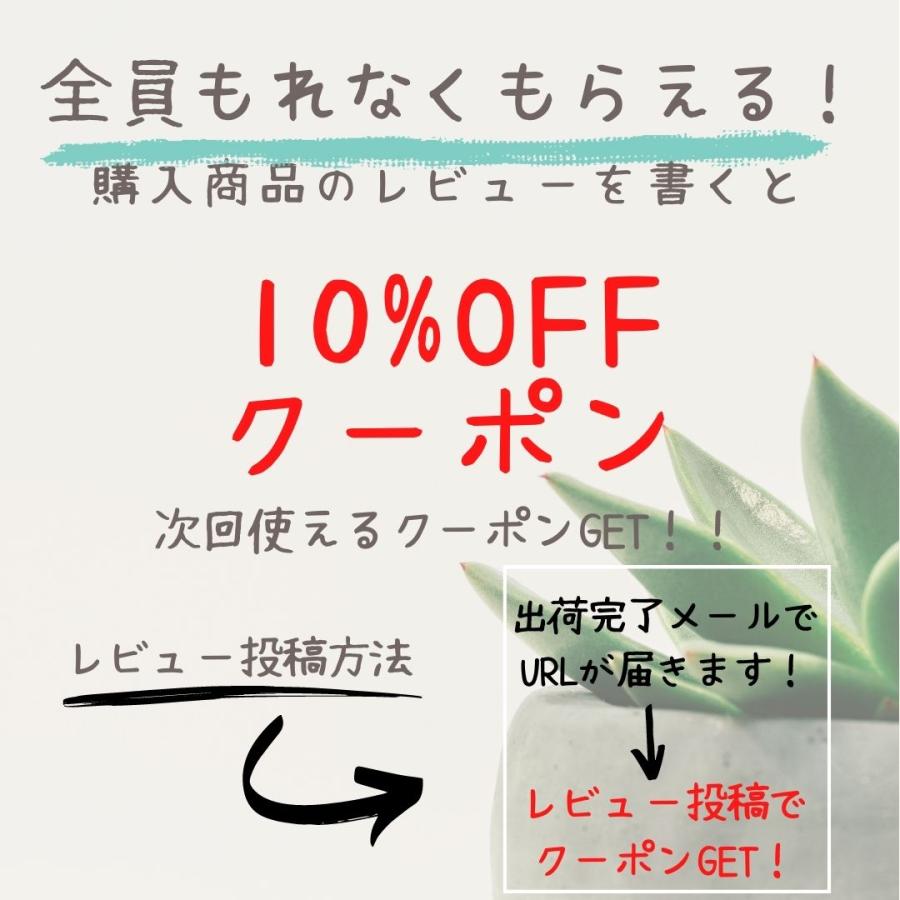 プランターカバー おしゃれ バケツ 屋外 ベランダ 植木鉢 鉢カバー アンティーク 穴あり 観葉植物 ガーデニング 雑貨 ブリキ 北欧 寄せ植え 園芸用品｜coeur-a-coeur-store｜15