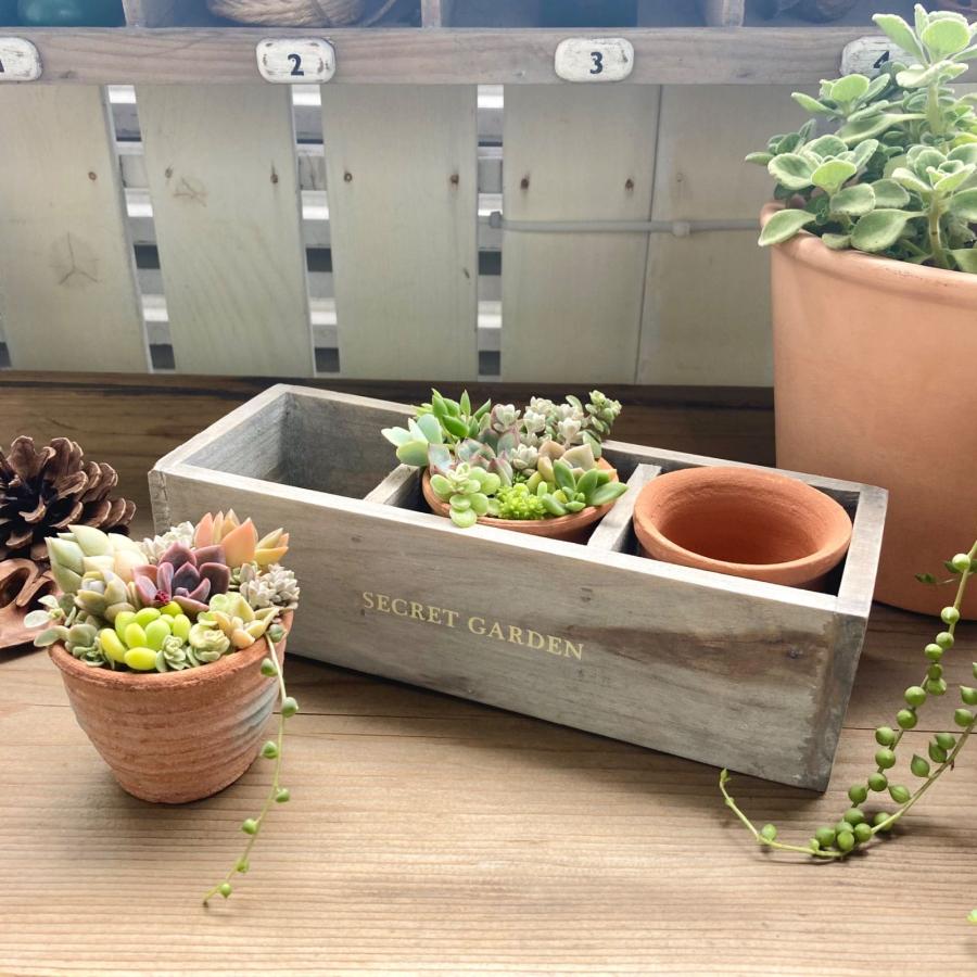 鉢 テラコッタ ポット 多肉植物鉢 サボテン 寄せ植え 鉢 テラコッタ ポット 多肉植物鉢 サボテン 寄せ植え
