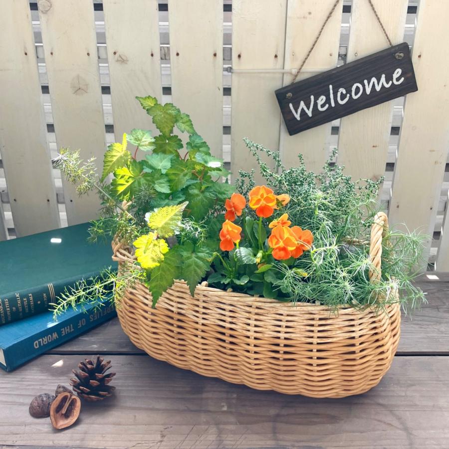 花 寄せ植え 鉢 プランター 鉢カバー 北欧 おしゃれ かわいい 花 寄せ植え 鉢 プランター 鉢カバー 北欧 おしゃれ かわいい