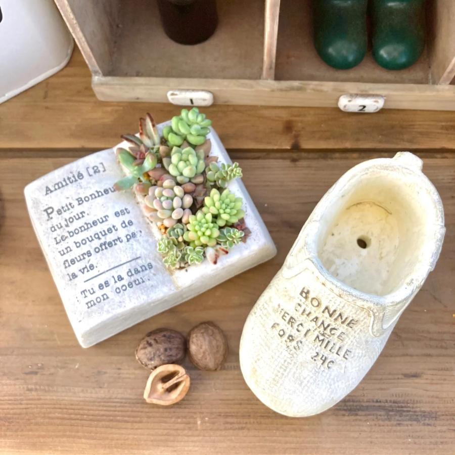 植木鉢 プランター 多肉 植物 寄せ植え 洋書 セメント 本 植木鉢 プランター 多肉 植物 寄せ植え 洋書 セメント 本