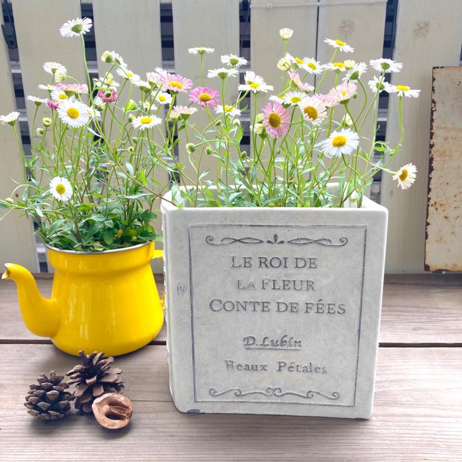 植木鉢 プランター 本 洋書 ブック 多肉 植物 寄せ植え 花 植木鉢 プランター 本 洋書 ブック 多肉 植物 寄せ植え 花