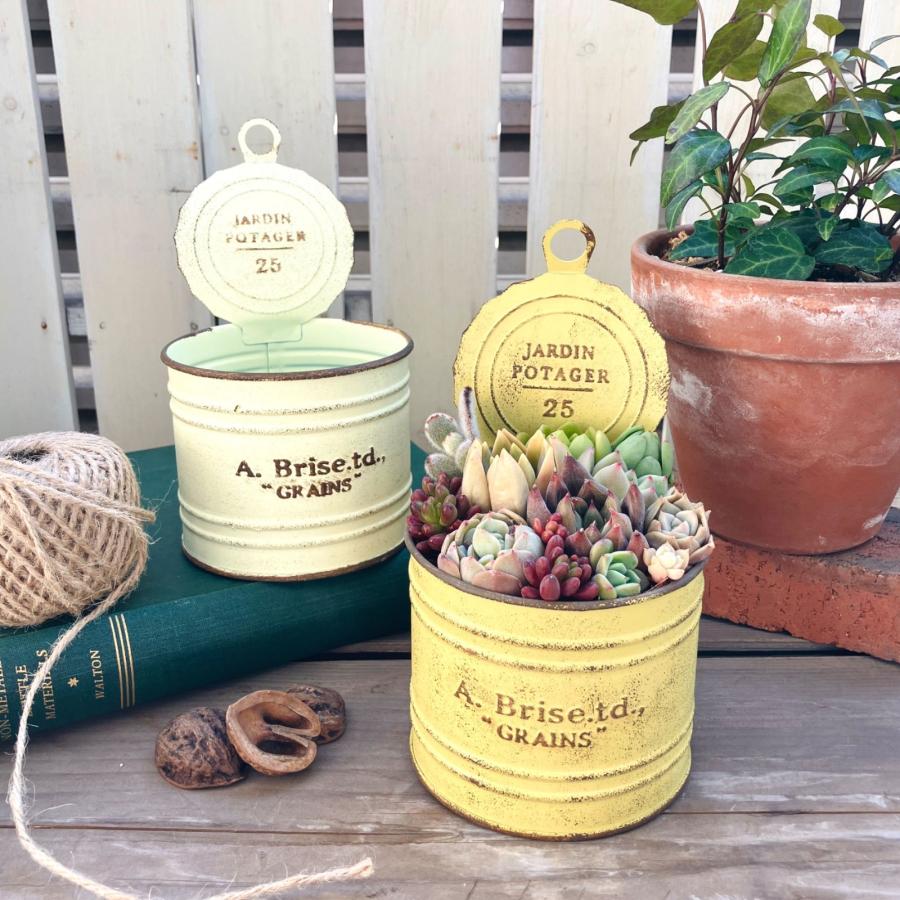 植木鉢 ブリキ プランター 缶詰 多肉 寄せ植え サボテン おしゃれ 北欧