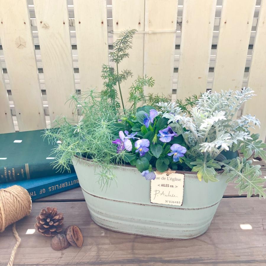 植木鉢 プランター ブリキ 多肉植物 寄せ植え 花 おしゃれ 北欧 植木鉢 プランター ブリキ 多肉植物 寄せ植え 花 おしゃれ 北欧