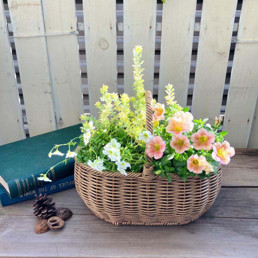 花 寄せ植え 鉢 プランター かご バスケット ガーデニング雑貨 鉢