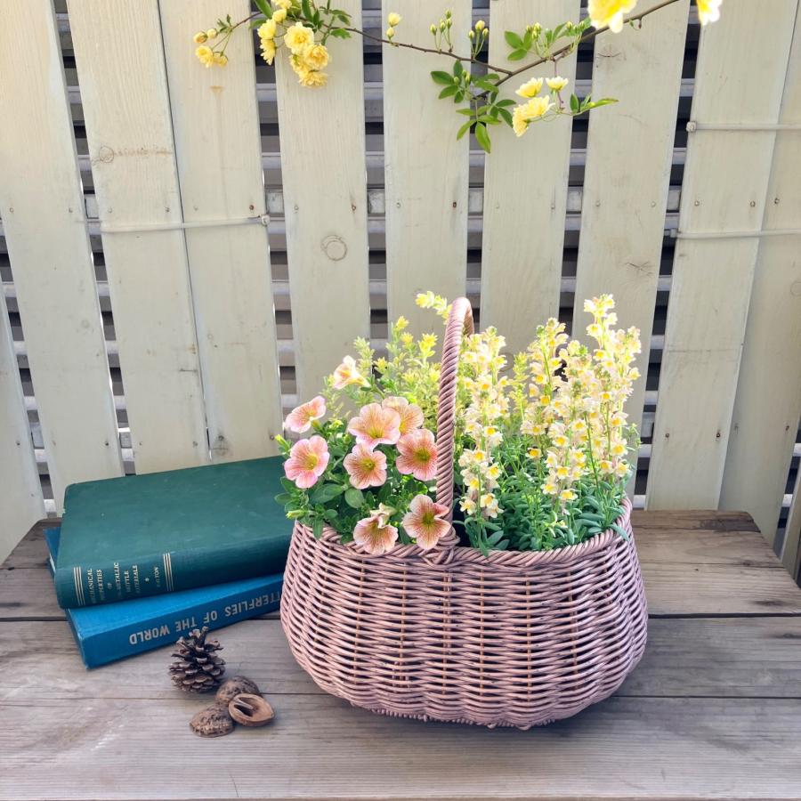 花 寄せ植え 鉢 プランター かご バスケット 鉢カバー 北欧 かわいい