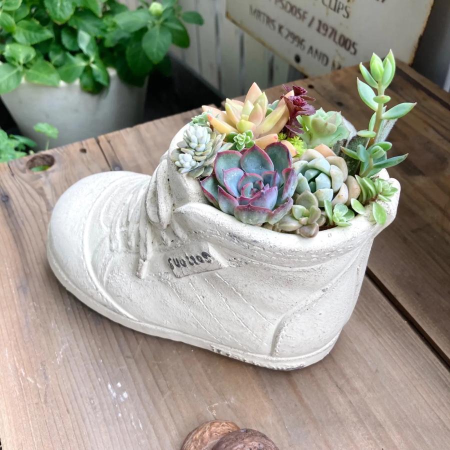 植木鉢 プランター 鉢 かわいい おしゃれ 多肉植物 寄せ植え 植木鉢 プランター 鉢 かわいい おしゃれ 多肉植物 寄せ植え