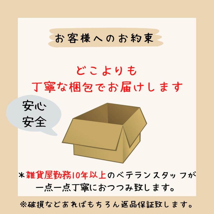 プランター 鉢 多肉植物 ブリキ 寄せ植え ガーデニング雑貨 リメ缶 ハンギング おしゃれ 壁掛け 穴あり ベランダ 可愛い｜coeur-a-coeur-store｜16